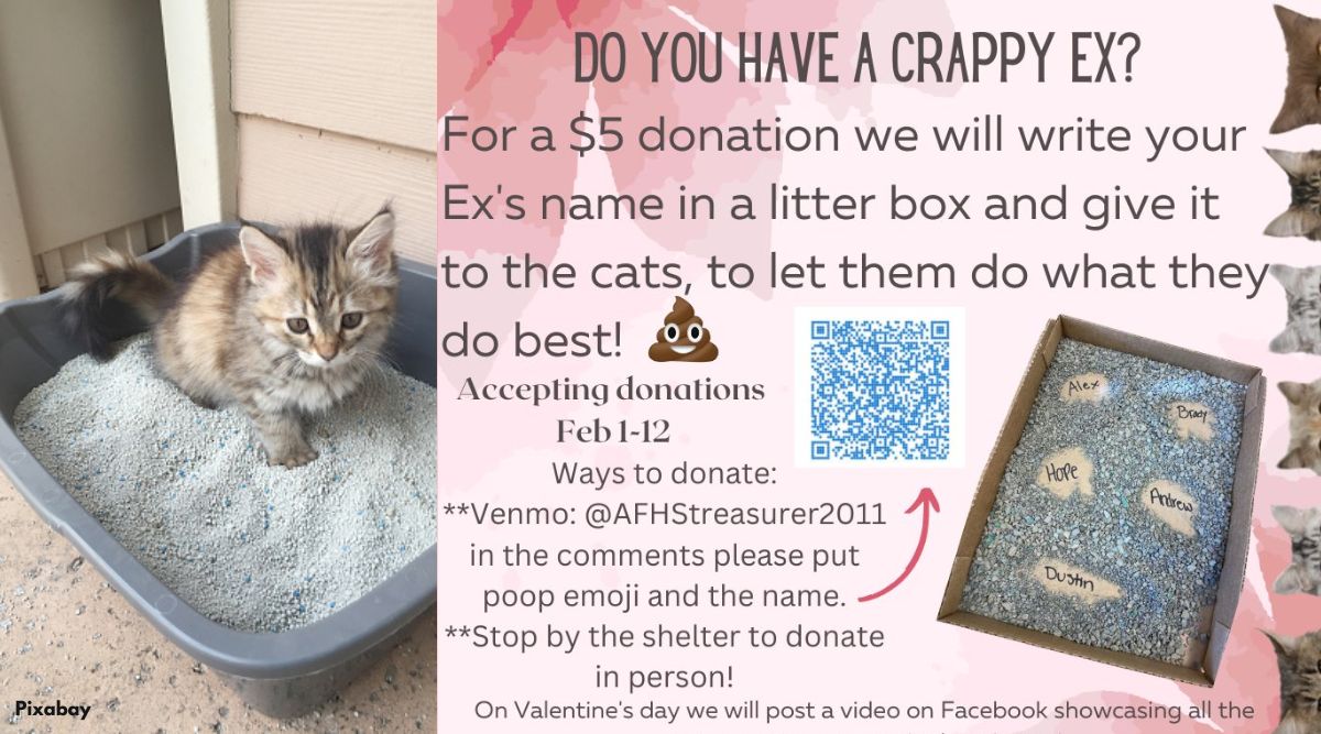 Valentine's Day special: Animal shelter offers to put ex-lover's name in  litter boxes | Trending News,The Indian Express