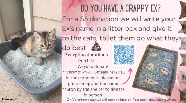 cat litter valentine's day scheme