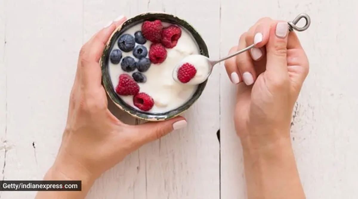 yogurt