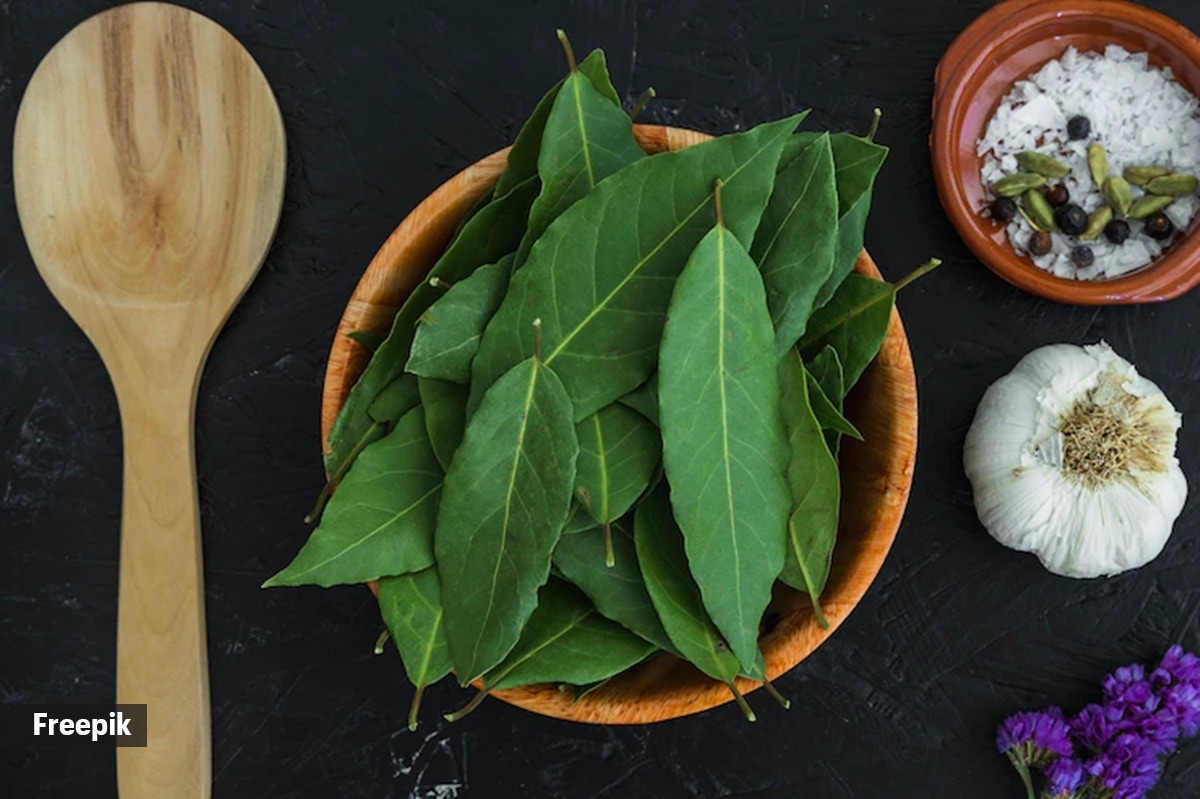 Curry Leaves