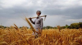 farmers welfare, state budget 2023, indian express