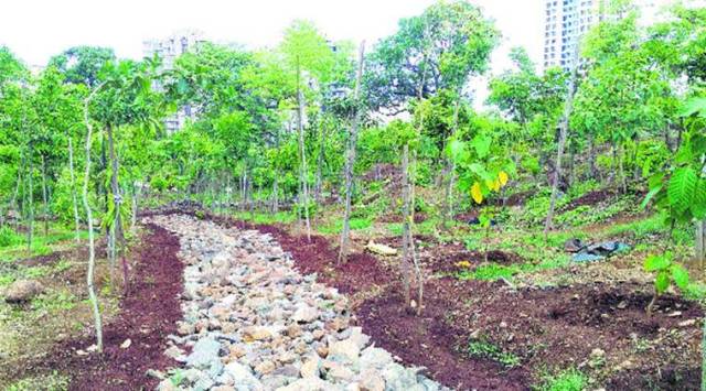 The administration also listed that they would be constructing two cycle tracks of 22 km from Tribune to Zirkapur and Sector 31 and 32 dividing road at a cost of Rs 4 crore. (Express Photo)