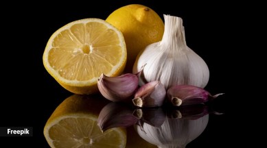 Garlic