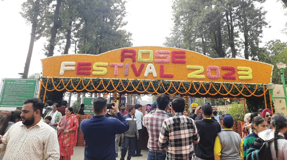 Five things to do at the rose festival in Chandigarh Chandigarh News