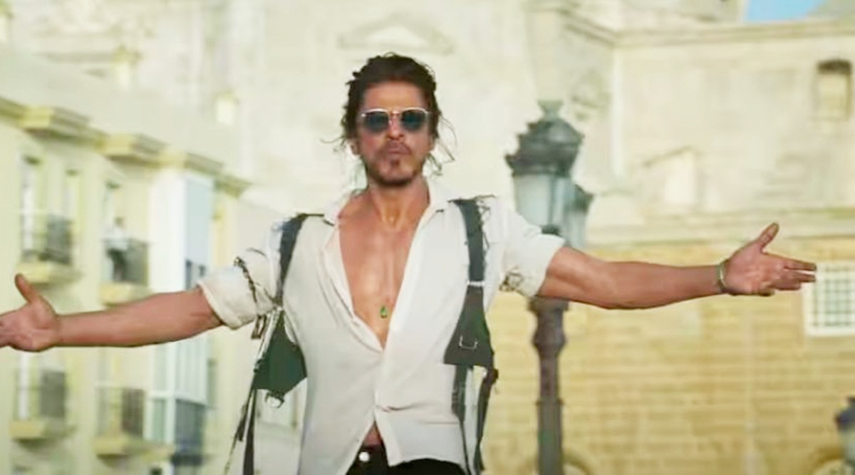 Pathan Pathaan Box Office Collection Day Shah Rukh Khan Film
