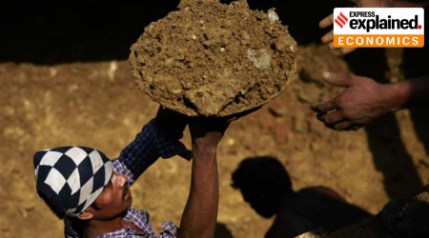What could be the govt's calculations behind the slashing of the MGNREGA budget