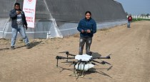 In Haryana’s farms, the latest buzz: drones that spray fertiliser, pesticides