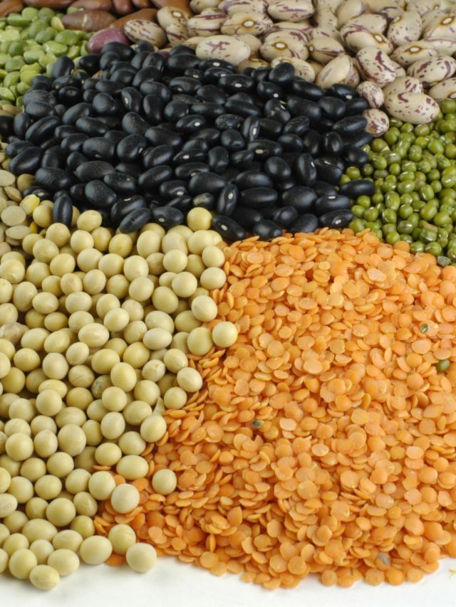 Pulses Include Pulses are packed with goodness | The Indian Express