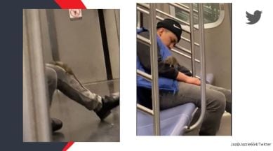 rat in subway, rat climbs on man, man remains calm after rat climbs on him, rat in new york subway, indian express