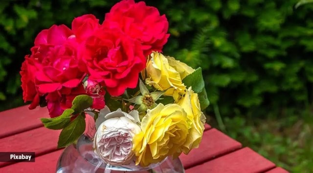 roses