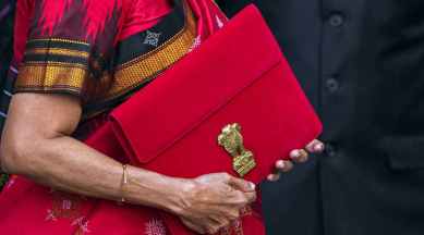 Union Finance Minister Nirmala Sitharaman carrying a folder-case poses for photographs outside the Finance Ministry at North Block, in New Delhi, Wednesday, Feb. 1, 2023. (PTI Photo)