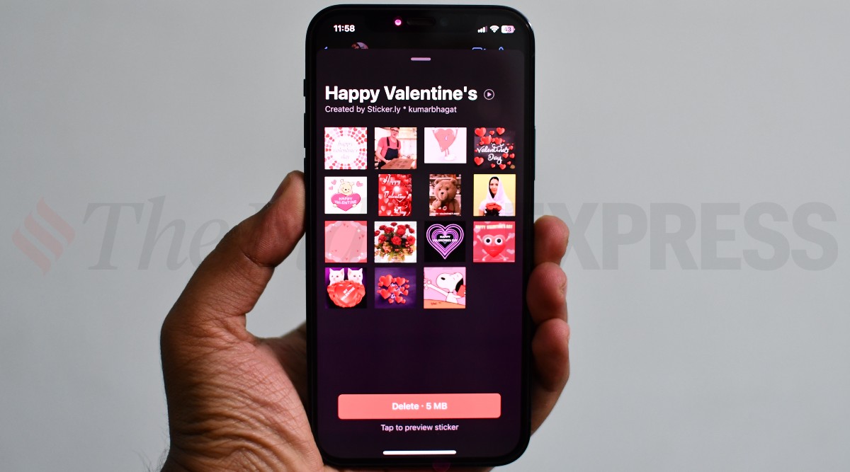 Valentine's day sticker pack downloaded from Sticker.ly app on an iPhone (Image credit: Vivek Umashankar / Indian Express)