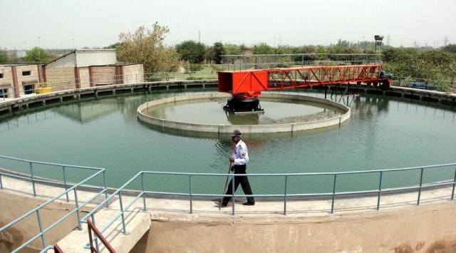 Rohu to Singhara: Fish entering Gurgaon’s water treatment plants up for ...