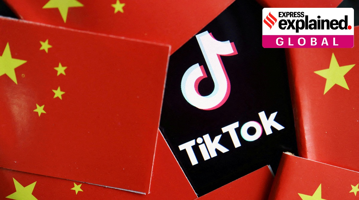 China's flags are seen near a TikTok logo in this illustration picture taken July 16, 2020..