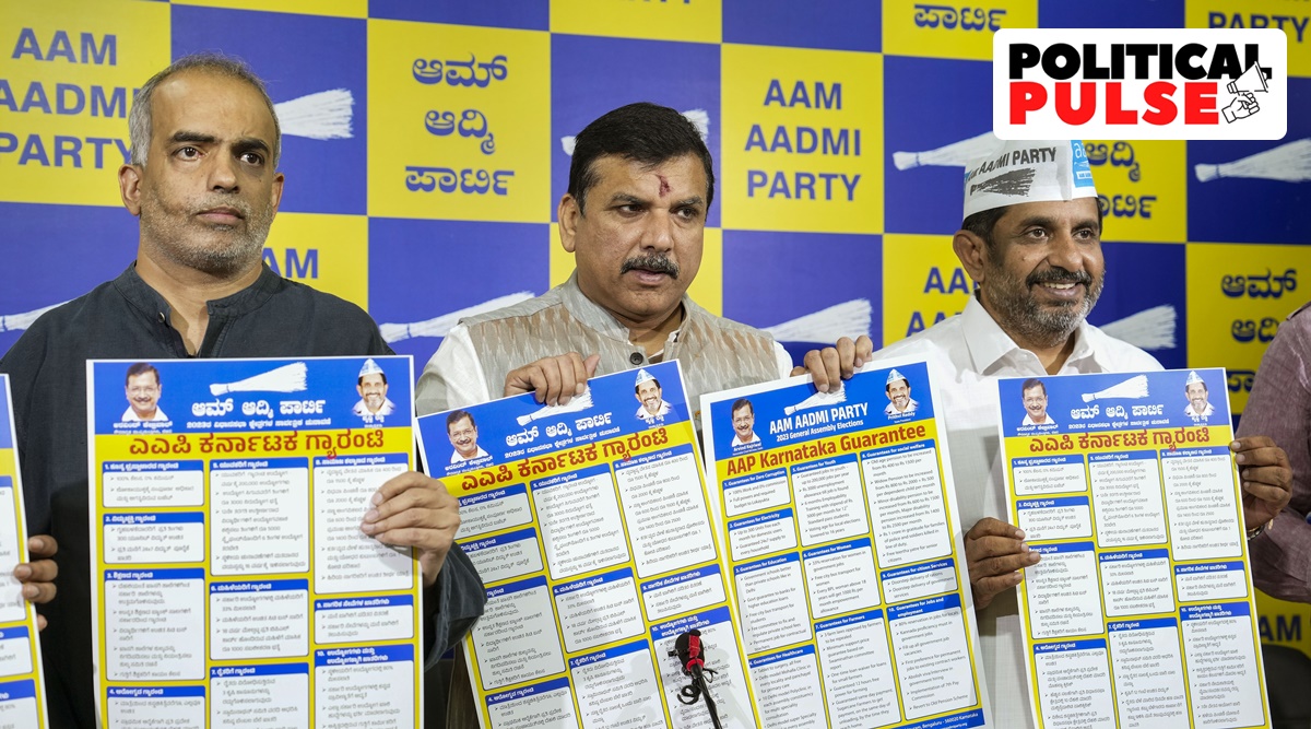 AAP unveils Karnataka manifesto, with Delhimodel promises Political
