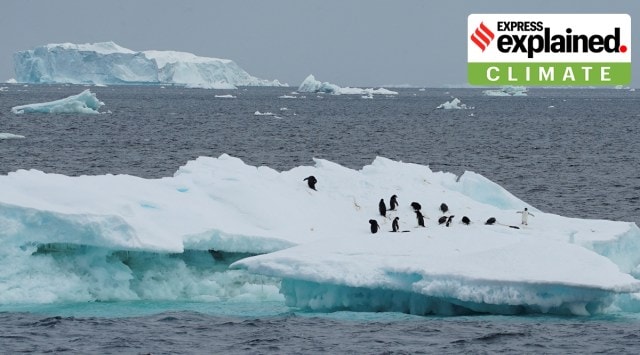 Scientists investigate impact of climate change on penguin colonies in Antarctica
