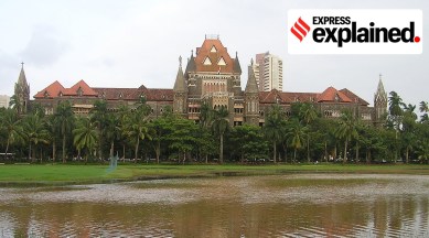 family property rights, bombay high court