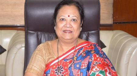 Union Textile Minister Darshana Jardosh (file)