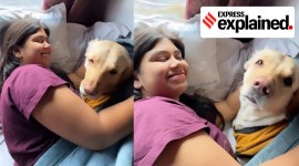 Screenshots of a woman sleeping on a train berth with her dog.
