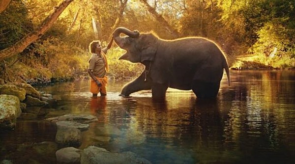 The Elephant Whisperers, Oscars
