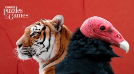 Express News Quiz on indian world wildlife day trivia nature ecosystems Express News Quiz on indian world wildlife day trivia nature ecosystems