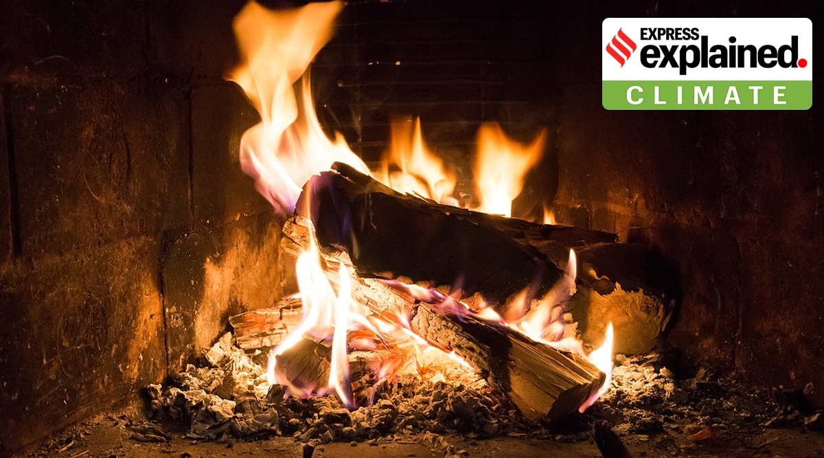 Firewood, EU, Renewable energy