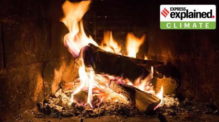 Firewood, EU, Renewable energy