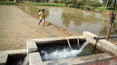 standing committee flags free power for farmers