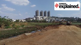 Spread over 59.36 acres, Bengaluru's Hosakerehalli lake receives untreated sewage from the stormwater drain (SWD) connected to it. Here, a mud road is seen constructed over the lake. Some water and vegetation is seen beneath the mud road with high-rise buildings in the background. (Express Photo)