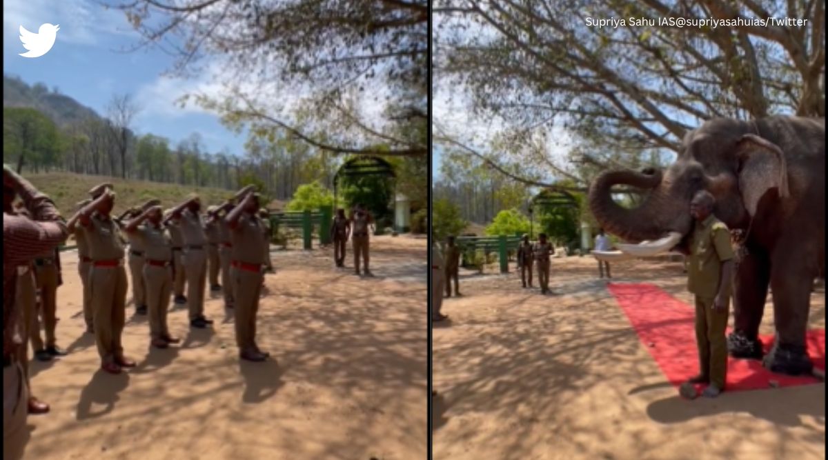 ‘Our eyes are wet and hearts are full with gratitude’: Kumki elephant