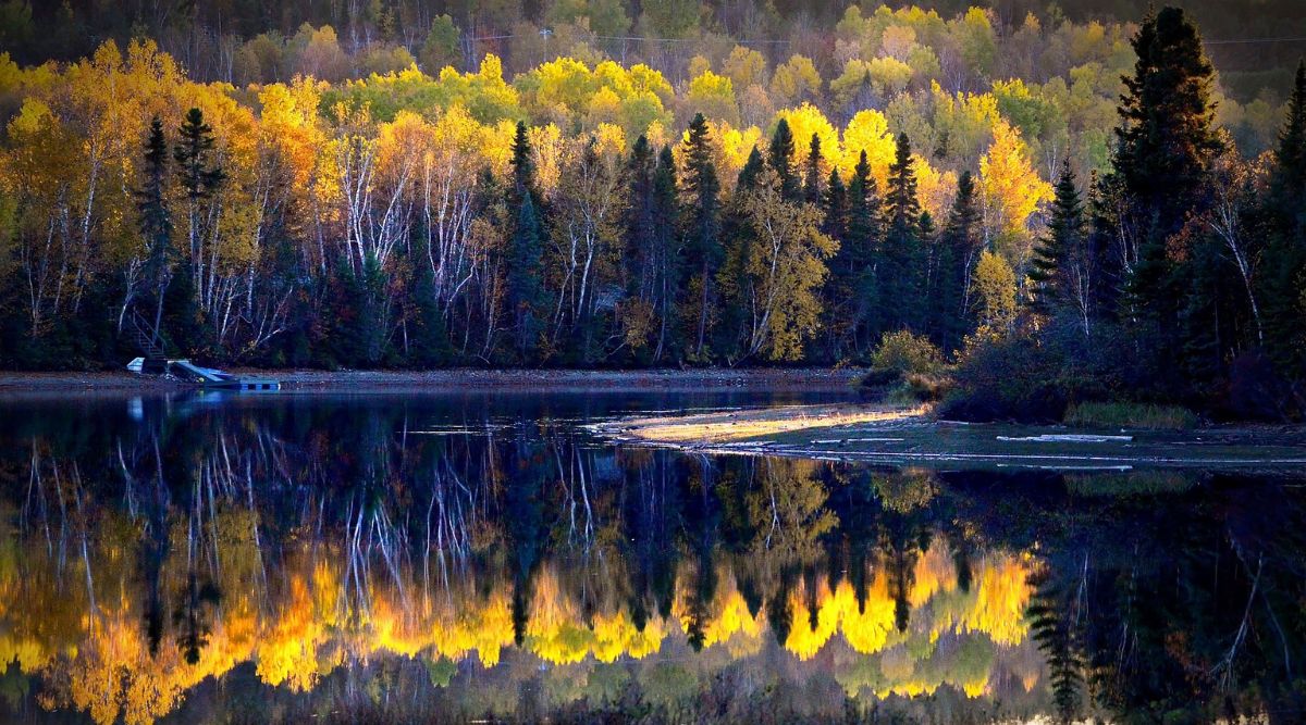 Key biodiverstiy areas