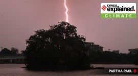 Lightning near a tree.