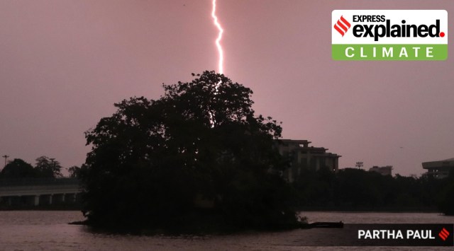Lightning near a tree.