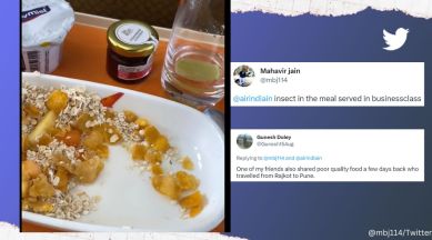 Passenger shares video of insect in meal served by Air India on business class flight