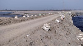 Sonipat, Yamuna floodplains, yamuna, Yamuna Expressway, Haryana news, Delhi news, New Delhi, Indian Express, current affairs