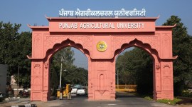 PAU, Kisan Mela: The Punjab Agricultural University will felicitate seven progressive farmers on the first day of Kisan Mela on March 24 for achieving great strides in agriculture and allied enterprises.