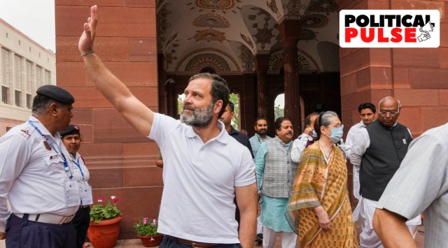 Rahul Gandhi democracy remarks, BJP