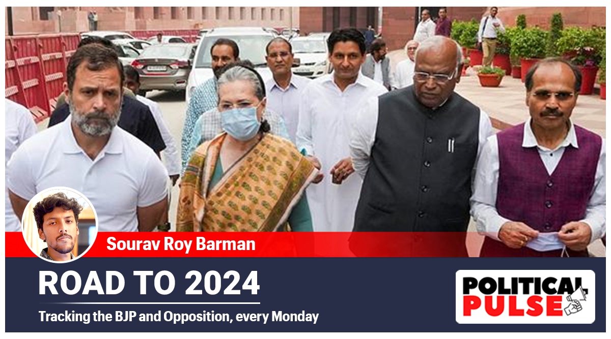 road-to-2024-or-in-search-for-unity-bjp-s-blows-against-rahul-gandhi-widen-opposition-cracks