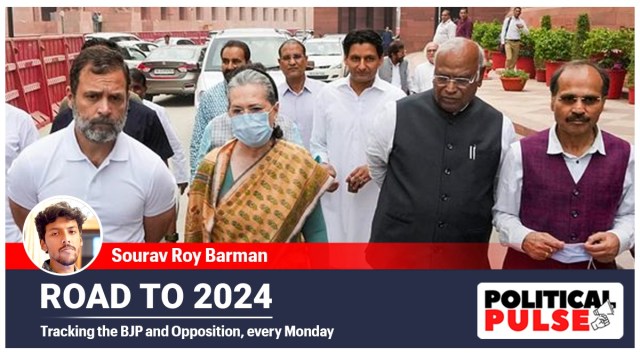 Rahul Gandhi parliament