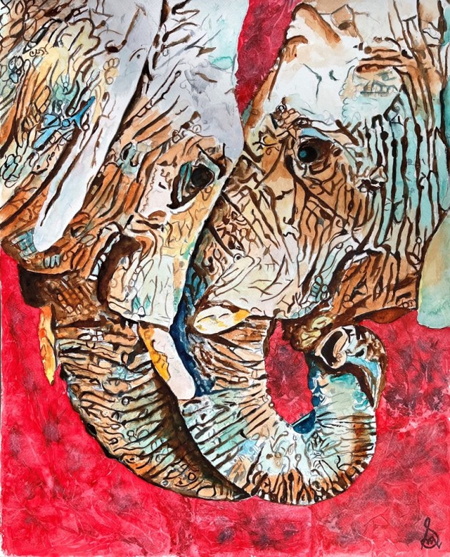 exhibition, art exhibition, flora, fauna, radiologist, dr sushma mahajan, delhi, new delhi, artist, scientist, india, indian express, art