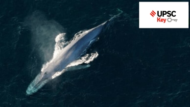 UPSC key terms, upsc news, upsc syllabus, UPSC KEY, Upsc Key terms, IAS current affairs, upsc Key Indian express, The Indian Express current Affairs, Is Indian Express Good for UPSC, upsc today news, upsc newspaper, Indian express today important news for upsc, Indian express monthly current affairs, What should I read in Indian Express for UPSC today, UPSC Answer Key, UPSC Online, IAS, IPS, upsc current affairs news, UPSC KEY News, UPSC Civil services news, UPSC Prelims 2023, UPSC Mains 2023, UPSC Mains 2023, UPSC Mains 2024, UPSC Prelims 2024,