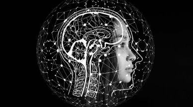 AI can create images from brain scans