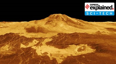 Volcanoes on Venus