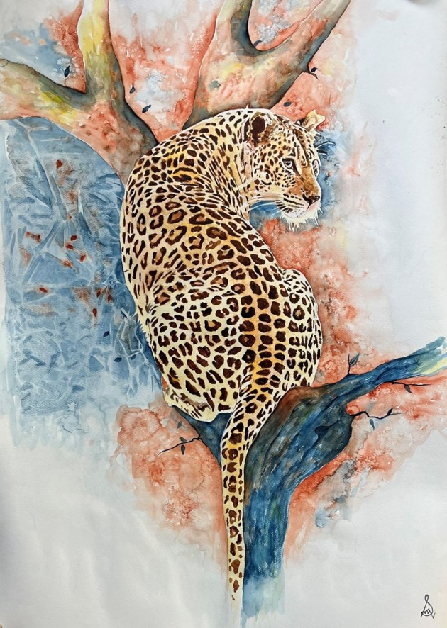 exhibition, art exhibition, flora, fauna, radiologist, dr sushma mahajan, delhi, new delhi, artist, scientist, india, indian express, art