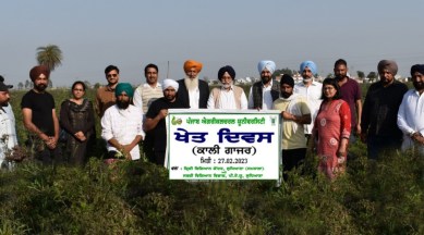 Punjab Agricultural University