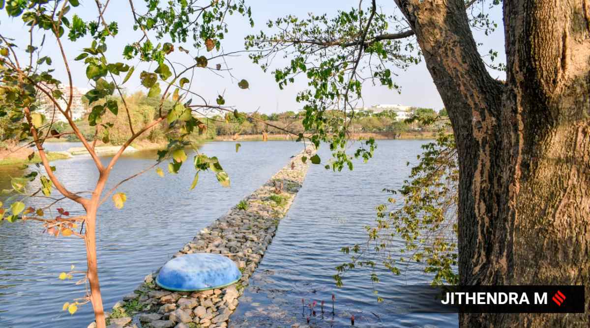 Lakes Of Bengaluru: Citizens Want Custody Of Agara Lake To Be Handed ...