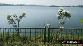 Yelahanka lake