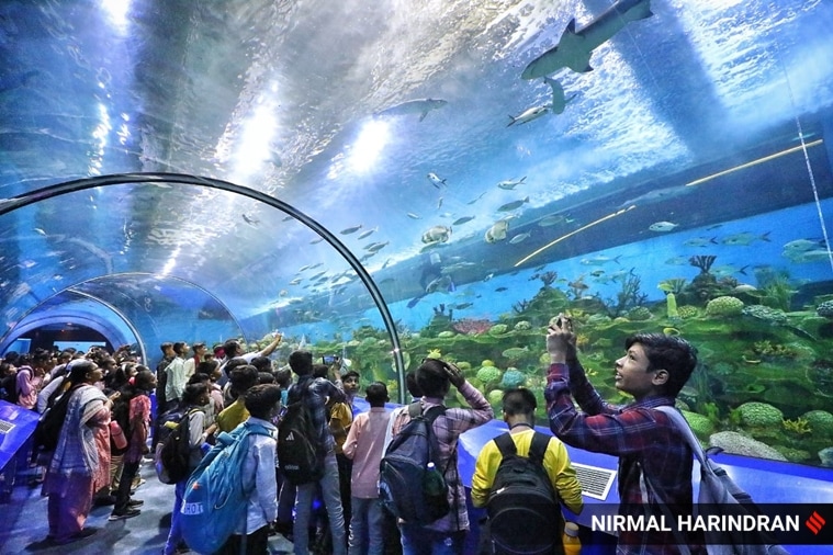 Home to over 188 aquatic species, Ahmedabad’s Science City welcomes its ...