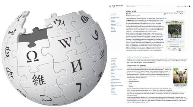 Wikipedia