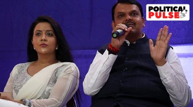 amruta fadnavis